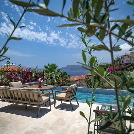 Panoramic Retro * Kas