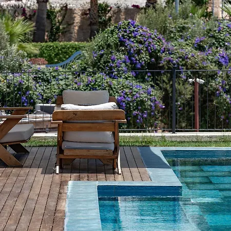 Panoramic Retro * Каш