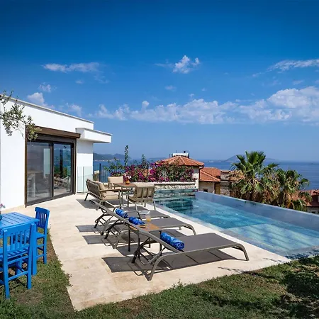 Вилла Panoramic Retro *