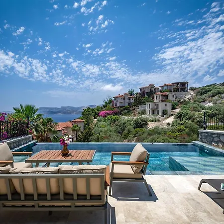 Вилла Panoramic Retro *